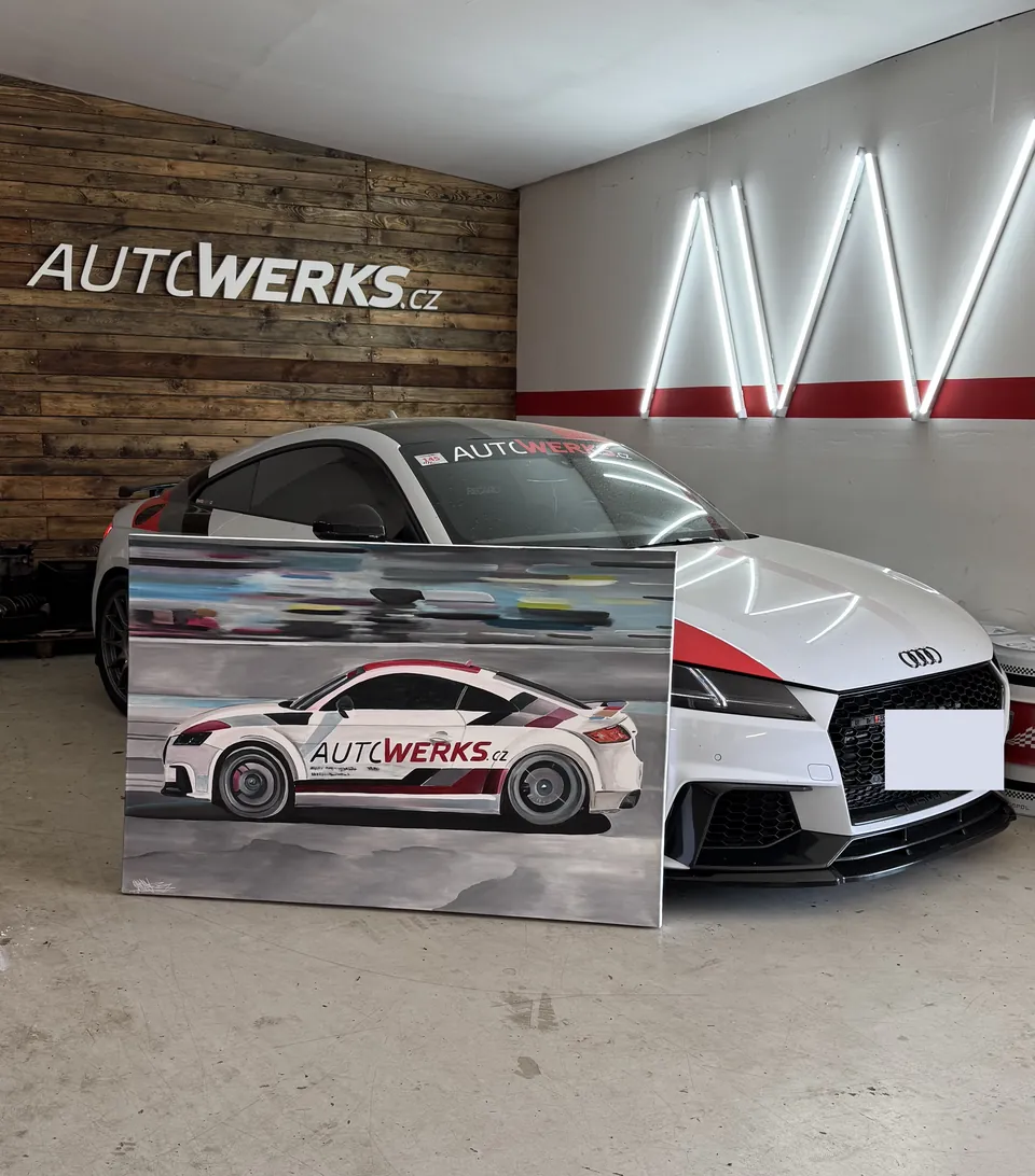 Obraz závodního Audi TT opřený o skutečný vůz v dílně